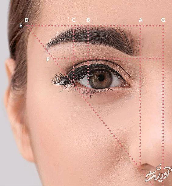 ترفندهای انتخاب بهترین مدل ابرو مدل ابرو مناسب فرم صورت